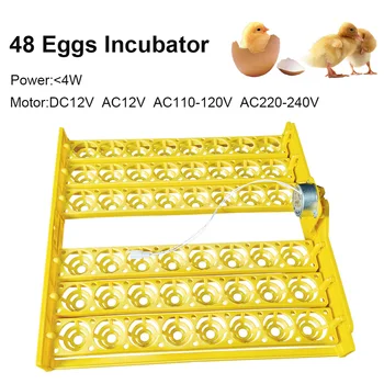 48 Яиц Автоматический инкубатор Лоток для яиц Инкубатор для яиц с двигателями 12V Новое домашнее инкубационное оборудование Детали для вылупления домашней птицы